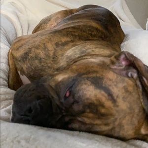 Meet your Posher, Jim